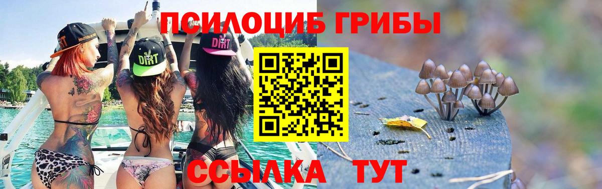 Галлюциногенные грибы Psilocybine cubensis  Вход с VPN  Псилоцибиновые грибы MAGIC MUSHROOMS  Пушкино 