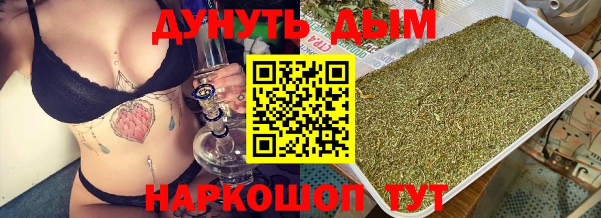 Канабис конопля Пушкино