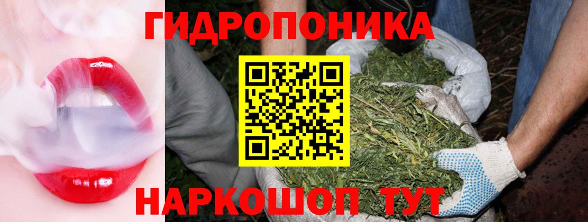 Бошки марихуана гибрид  Вход с VPN  Пушкино  Бошки Шишки THC 21% 